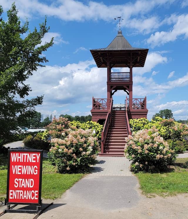 Whitney Viewing Stand - Image 1