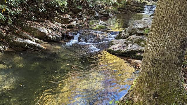 Sampson Mountain Wilderness Trailhead - Image 2