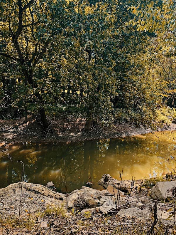 McCarthy Park - Image 2