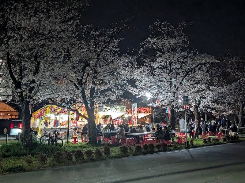 桜並木通り(博多区西春町) - Image 1