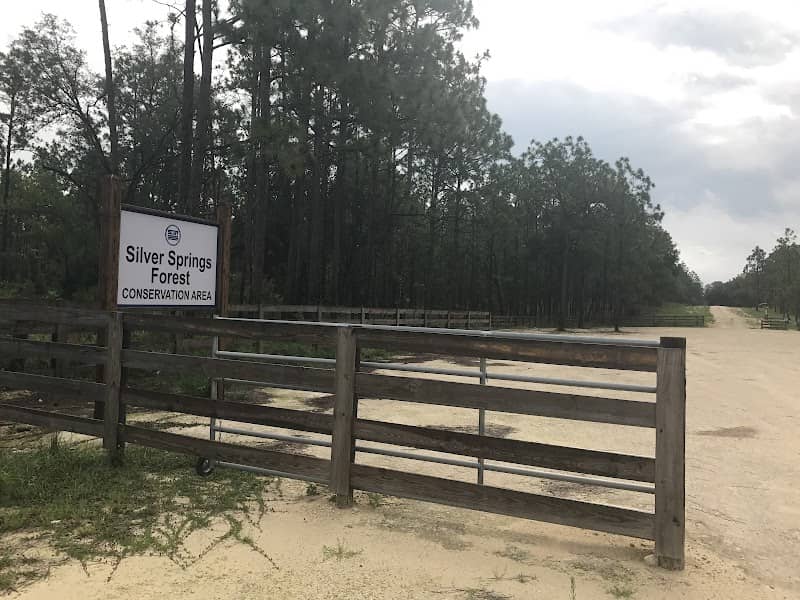 Silver Springs Forest Conservation Area Equestrian Trail - Image 1