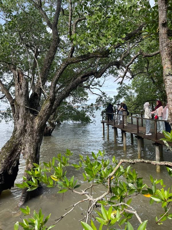 Desa Wisata Kampung Tua Bakau Serip - Image 2