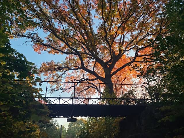 Oak Knoll Park - Image 2