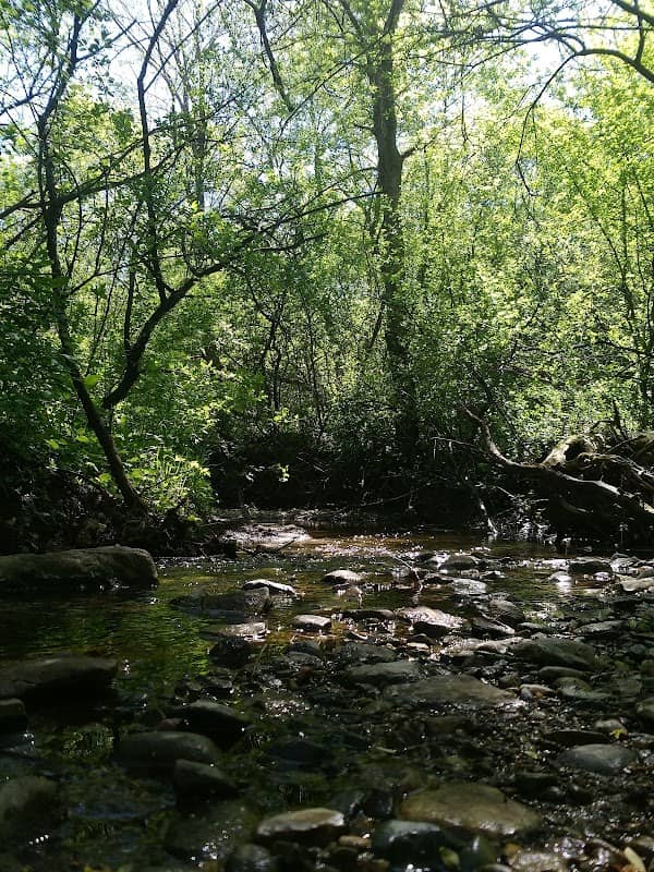 Straight River Park - Image 1