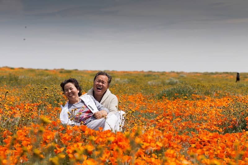 Antelope Valley - Image 4