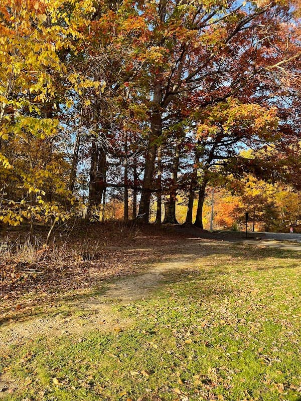 North Mastic Picnic Area, Rocky River Reservation - Image 1