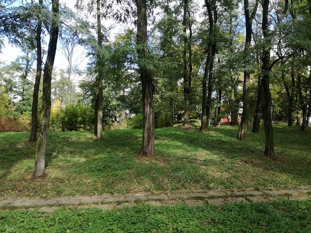 Park - Image 1