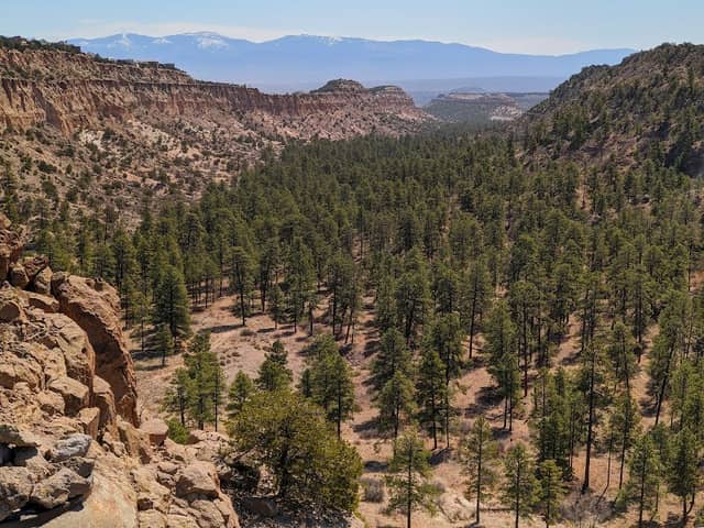 Bayo Canyon Trail - Image 1
