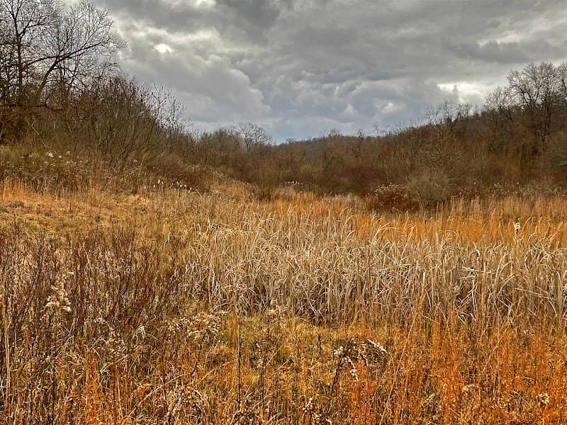 State Game Lands Number 297 - Image 1