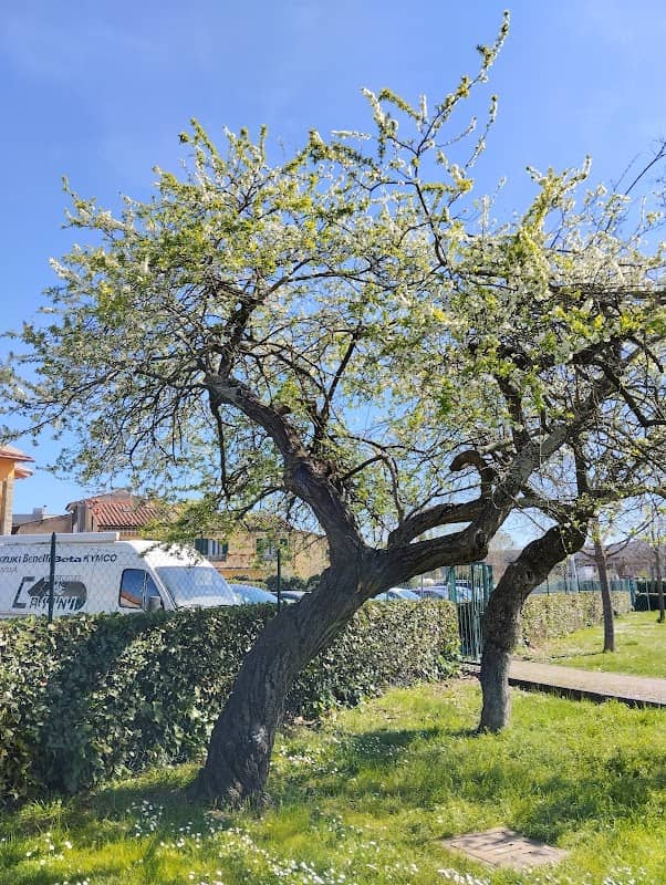 Giardini di San Colombano - Image 1