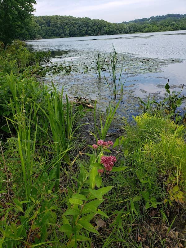 Hanover Pond Trail - Image 1