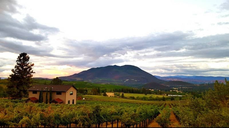 Laujor Estate Winery - Image 2