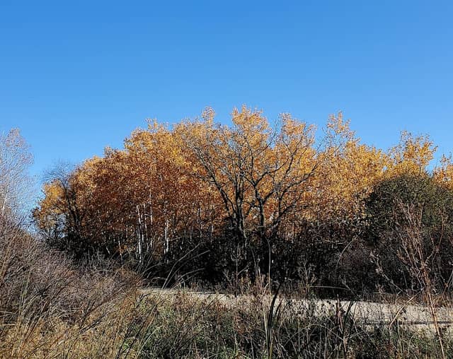 Lima Marsh State Wildlife Area Parking - Image 1