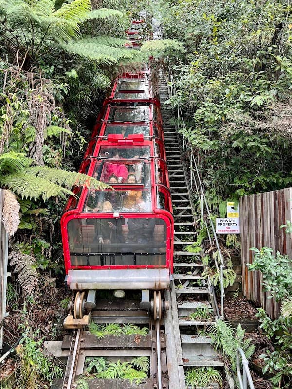 Scenic Skyway - Image 2