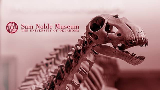 Sam Noble Oklahoma Museum of Natural History - Image 1