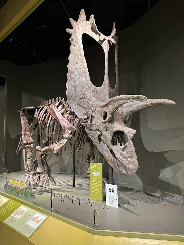 Sam Noble Oklahoma Museum of Natural History - Image 3