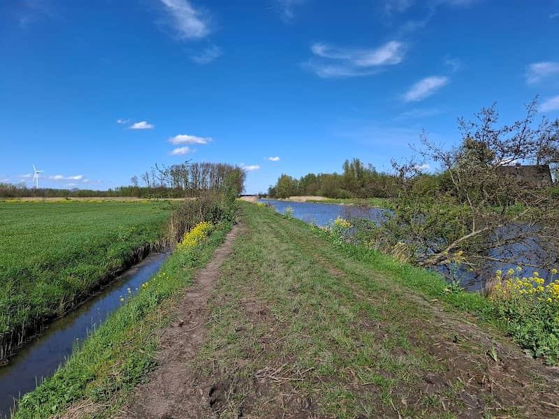Het Verdronken Bos - Image 3