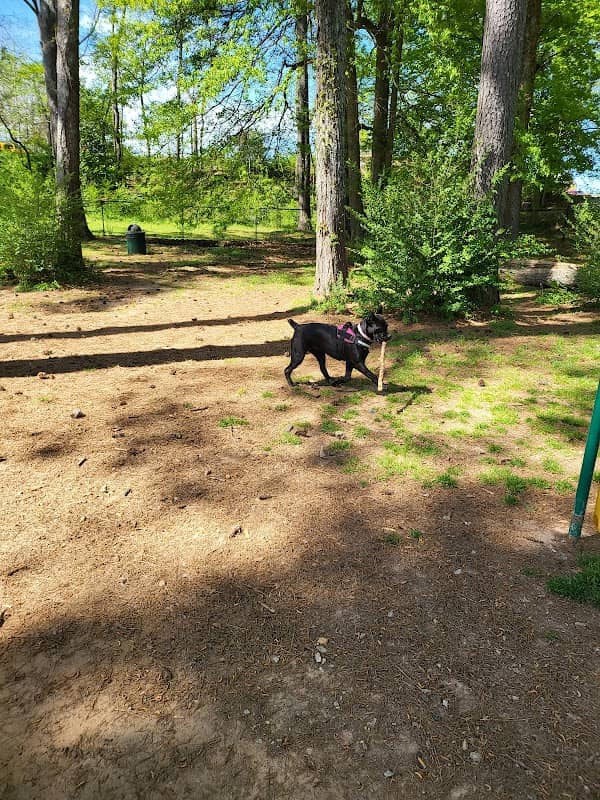 Longview Park - Image 1