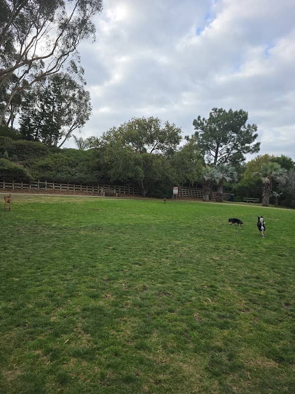 Encinitas Viewpoint Park - Image 2