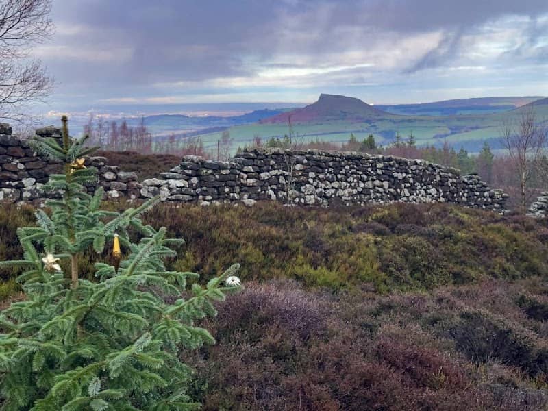Captain Cook's Monument - Image 2