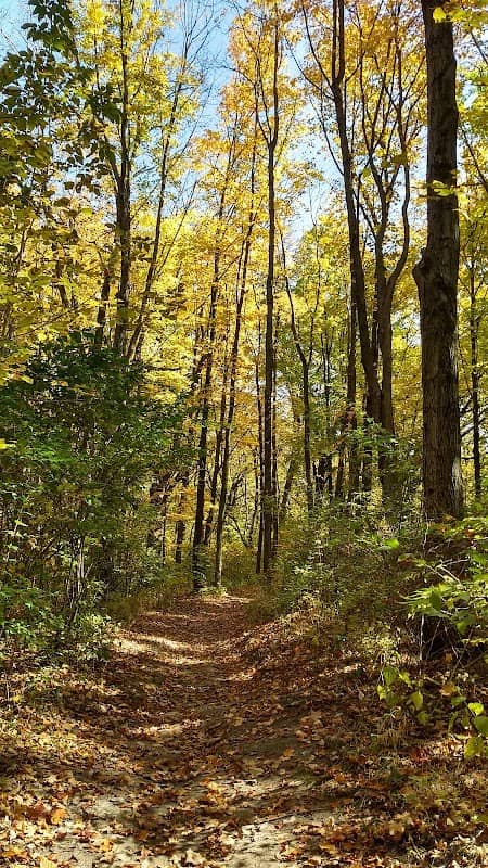 Hammel Woods - Recreation Area - Image 2