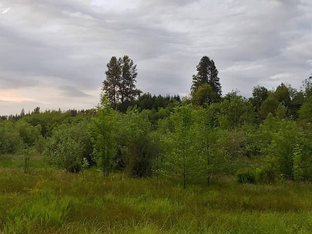 Soos Creek Park trailhead alternative - Image 2