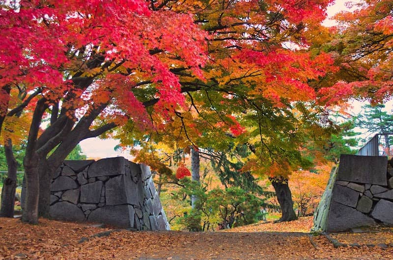 Morioka Castle Ruins - Image 2