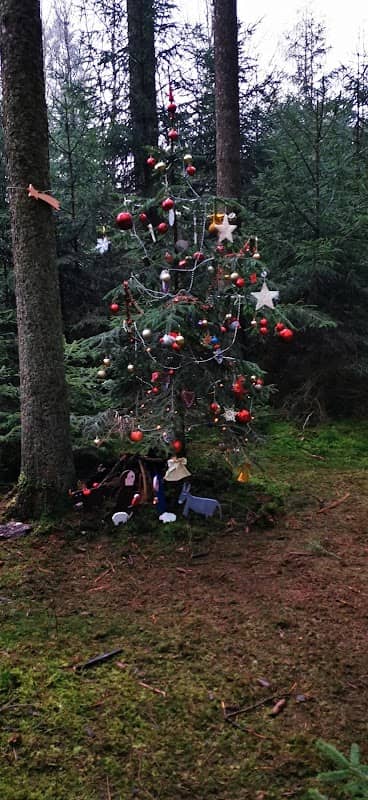 Wichtelbaum - Image 1