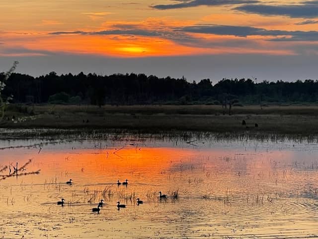 Tuttle Marsh Wildlife Area - Image 2