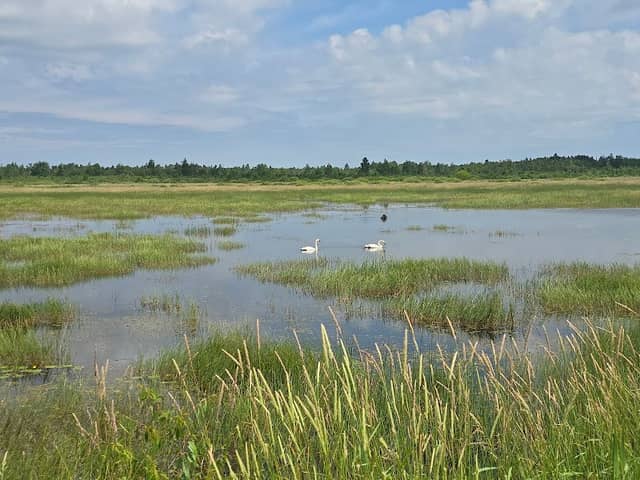 Tuttle Marsh Wildlife Area - Image 3