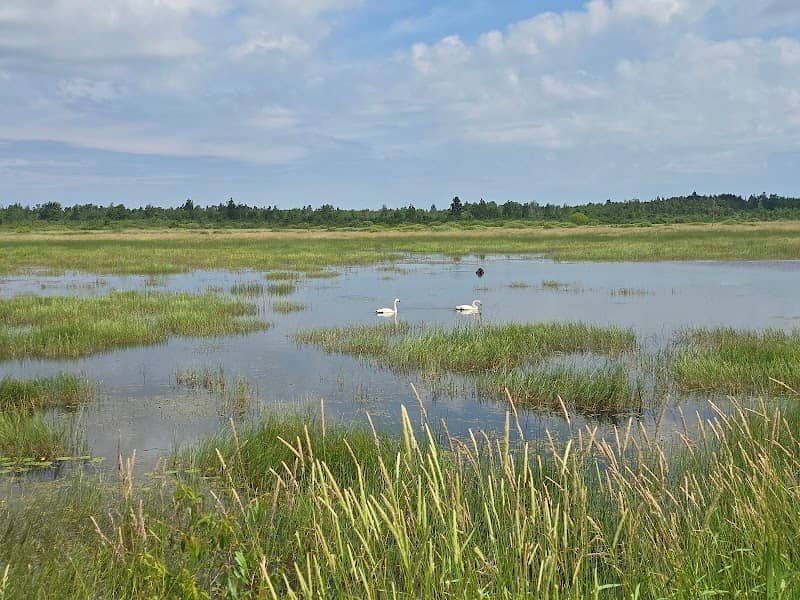 Tuttle Marsh Wildlife Area - Image 3