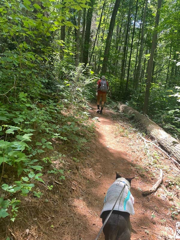 Pond Mountain Wilderness - Image 1
