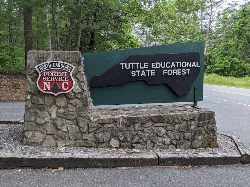 Tuttle Educational State Forest - Image 1