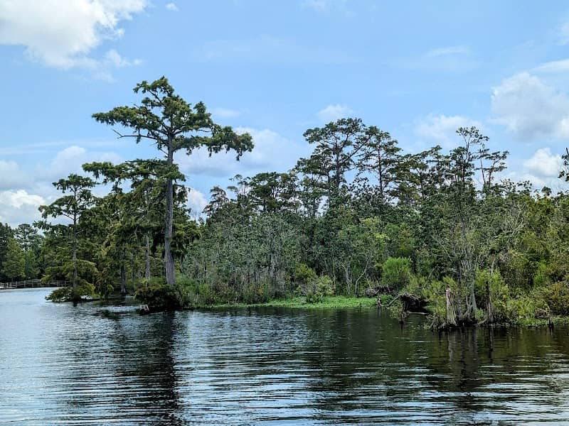 Pocosin Lakes National Wildlife Refuge - Image 1
