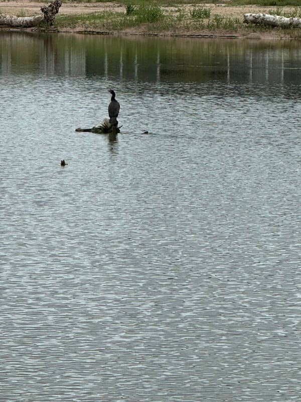 Poulter Pond - Image 1