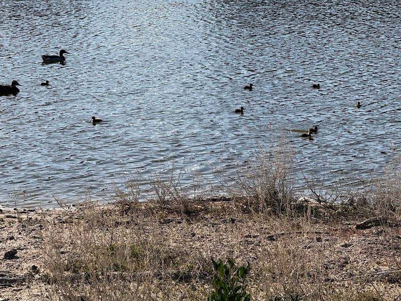 Poulter Pond - Image 2