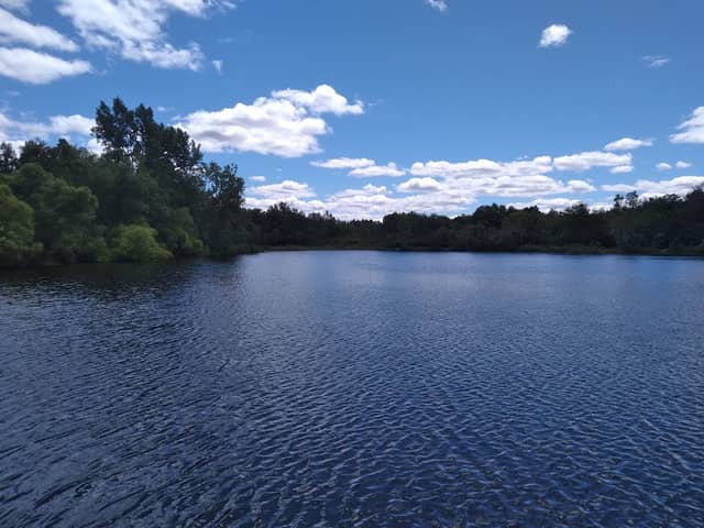 Wiregrass Lake Metropark - Image 1
