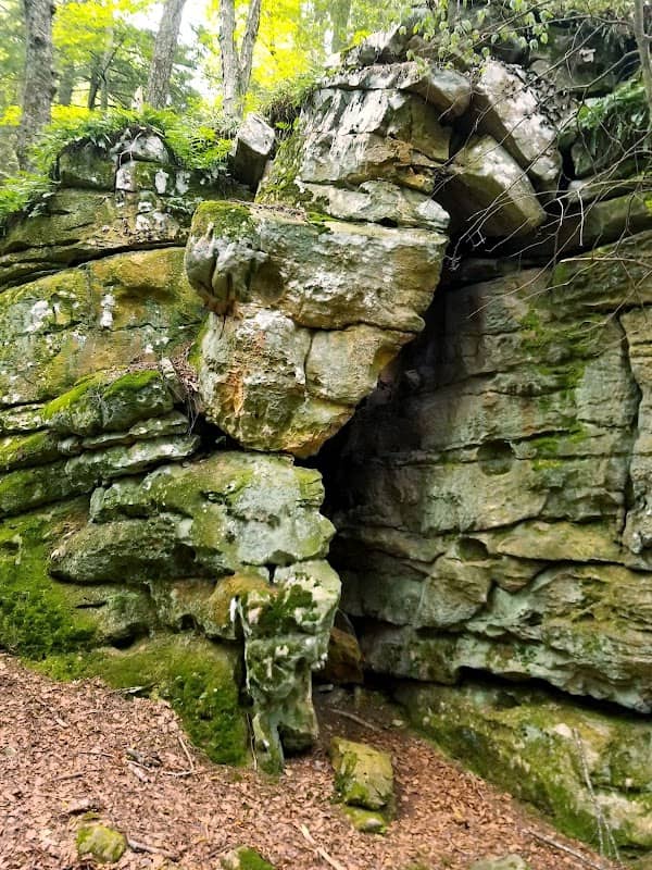 Beartown State Park - Image 1