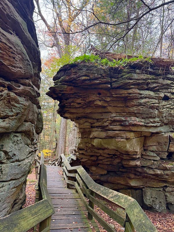 Beartown State Park - Image 3