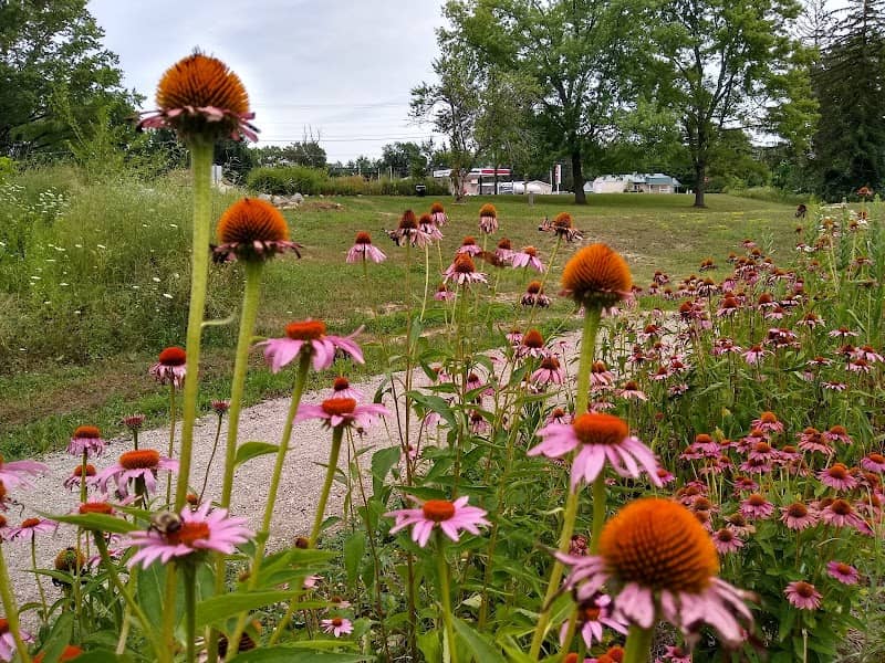 Altherr Nature Park - Image 1
