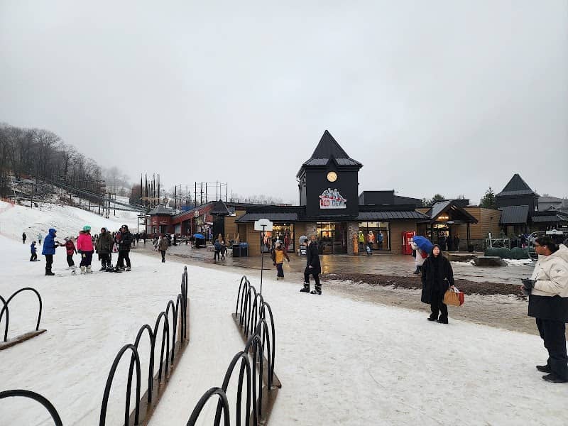Blue Mountain Grand Central Lodge - Image 1