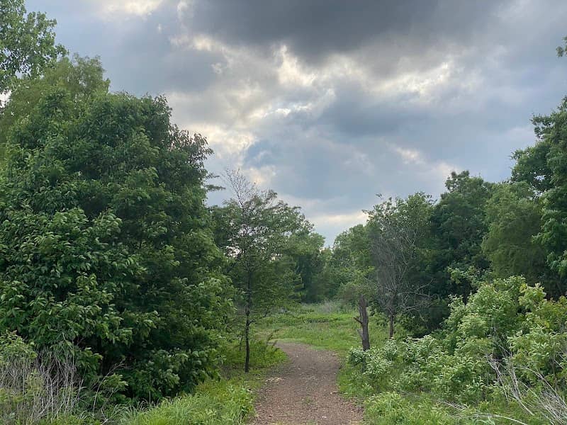 Cottonwood Park Nature Trail - Image 2