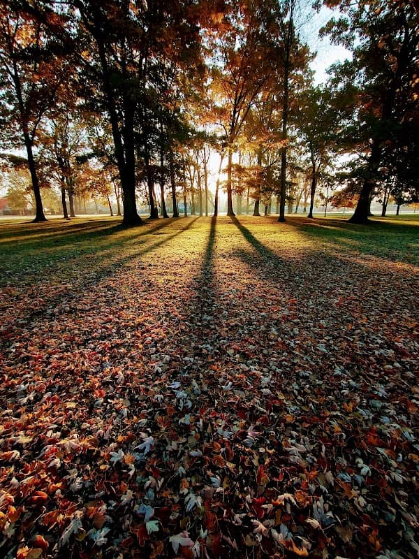 Nash Memorial Park - Image 2