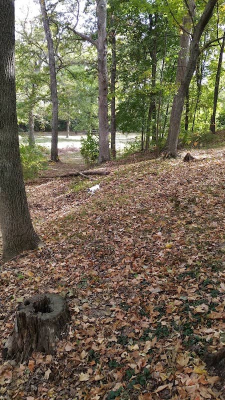 Valle Springs Park - Image 1