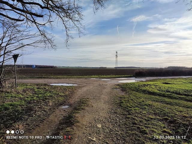Dungelbecker Wald - Image 1