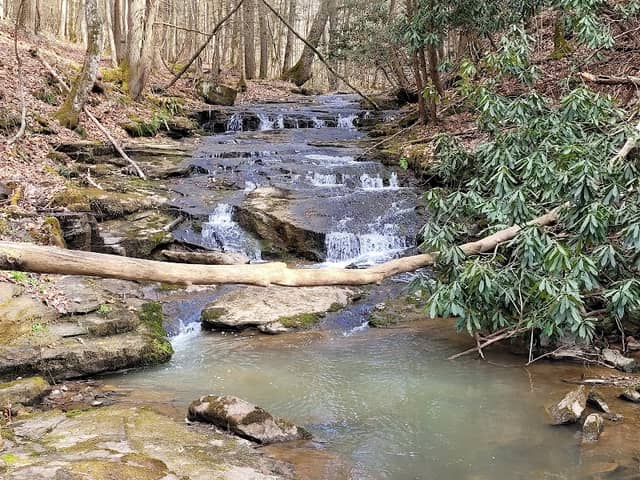 Indian Branch Falls - Image 2