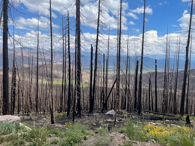 North Supply Trail Head - Image 1