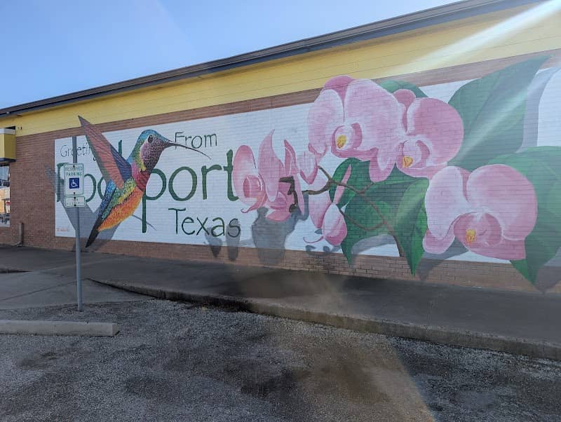 Hummingbird mural - Image 2