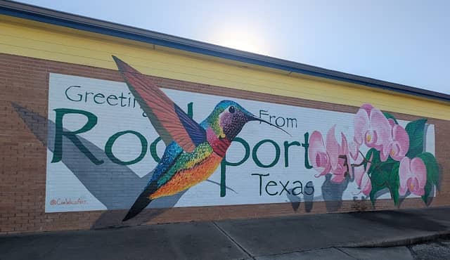 Hummingbird mural - Image 1