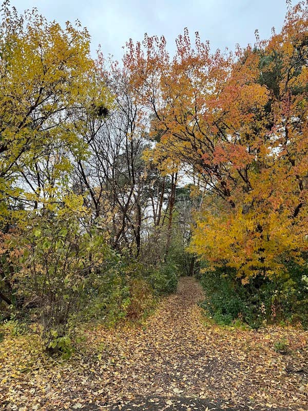 Pine Grove Gardens Park - Image 1